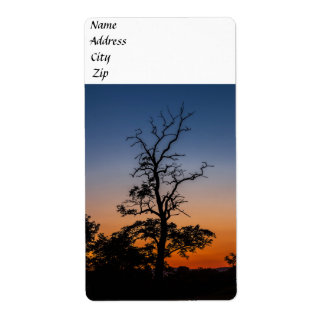 Tree on a sunset background