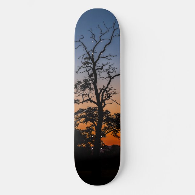 Tree on a sunset background skateboard (Front)