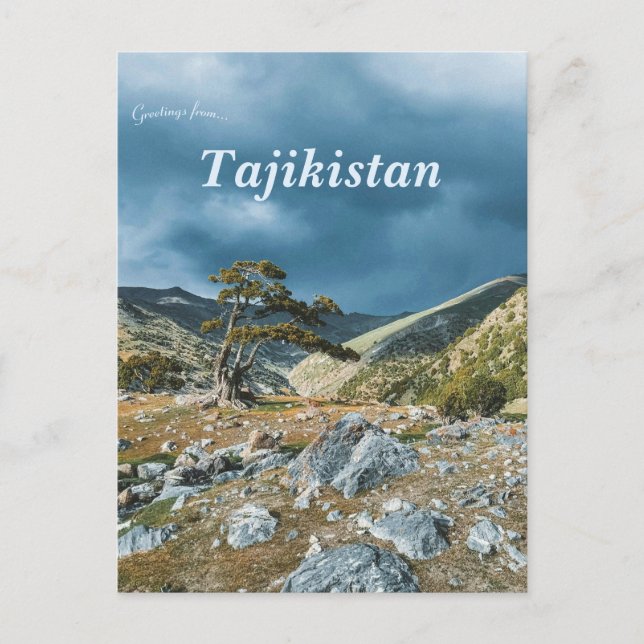 Tree on Fann Mountains in Tajikistan Postcard (Front)