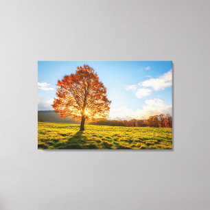 Tree on Fire Canvas Print