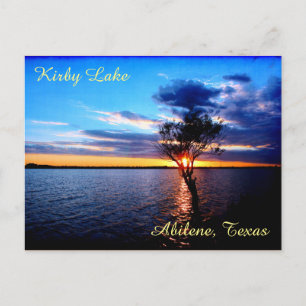 Tree On Kirby Lake Postcard