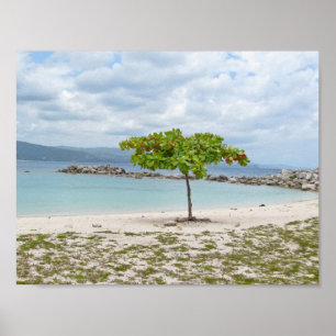 TREE ON SECLUDED BEACH POSTER