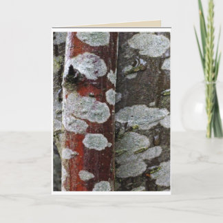 Tree on Tree Blank Card