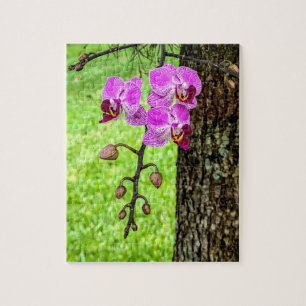 Tree Orchid in Bloom Jigsaw Puzzle