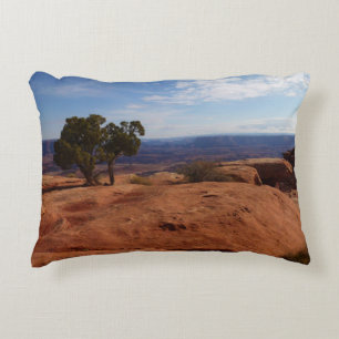 Tree Out of Red Rocks at Canyonlands National Park Decorative Cushion