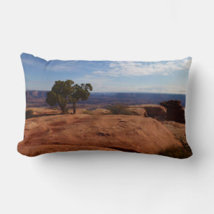 Tree Out of Red Rocks at Canyonlands National Park Lumbar Cushion