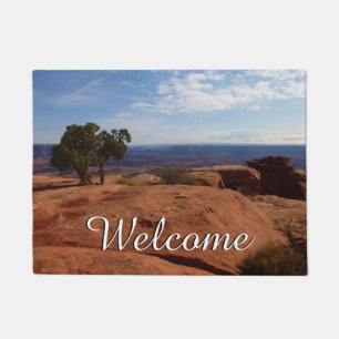 Tree Out of Red Rocks I at Canyonlands Doormat