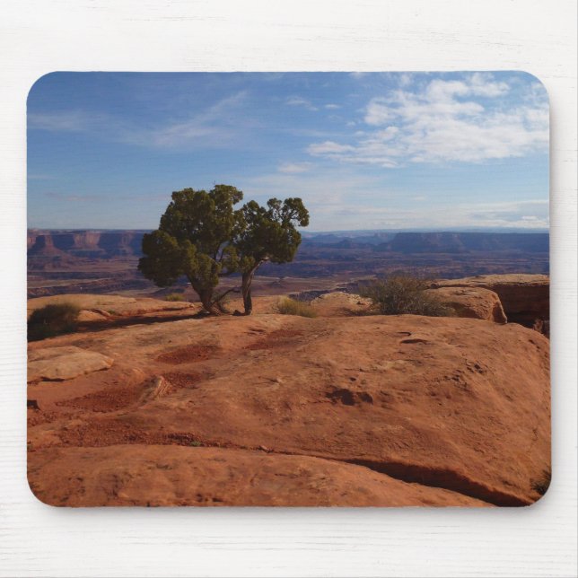 Tree Out of Red Rocks I at Canyonlands Mouse Pad (Front)
