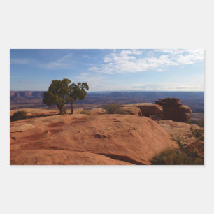 Tree Out of Red Rocks I at Canyonlands Rectangular Sticker
