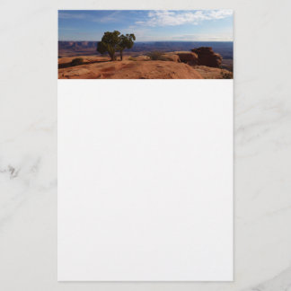 Tree Out of Red Rocks I at Canyonlands Stationery