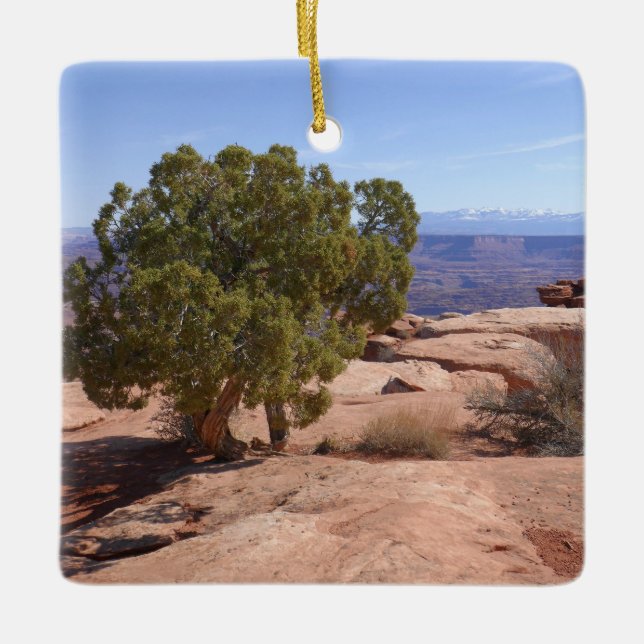 Tree Out of Red Rocks II at Canyonlands Ceramic Ornament (Front)