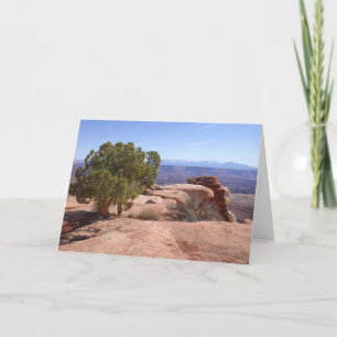 Tree Out of Red Rocks II at Canyonlands Note Card