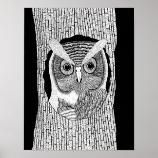 Tree Owl Poster