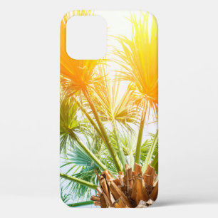 Tree palm bright sun summer background. tropical p iPhone 12 case