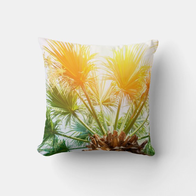 Tree palm bright sun summer background. tropical p cushion (Front)