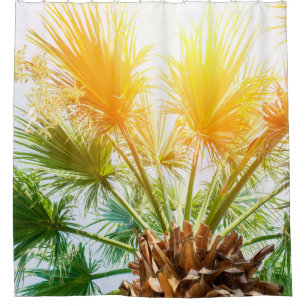 Tree palm bright sun summer background. tropical p shower curtain