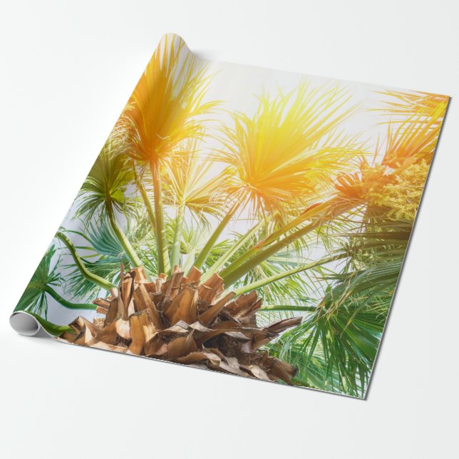 Tree palm bright sun summer background. tropical p wrapping paper (Unrolled)