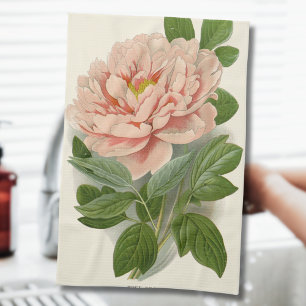 Tree Peony – Elegant Vintage Botanical Design Tea Towel
