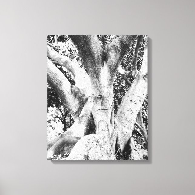 Tree Photo - Black and White Tree Monochrome Thick Canvas Print (Front)