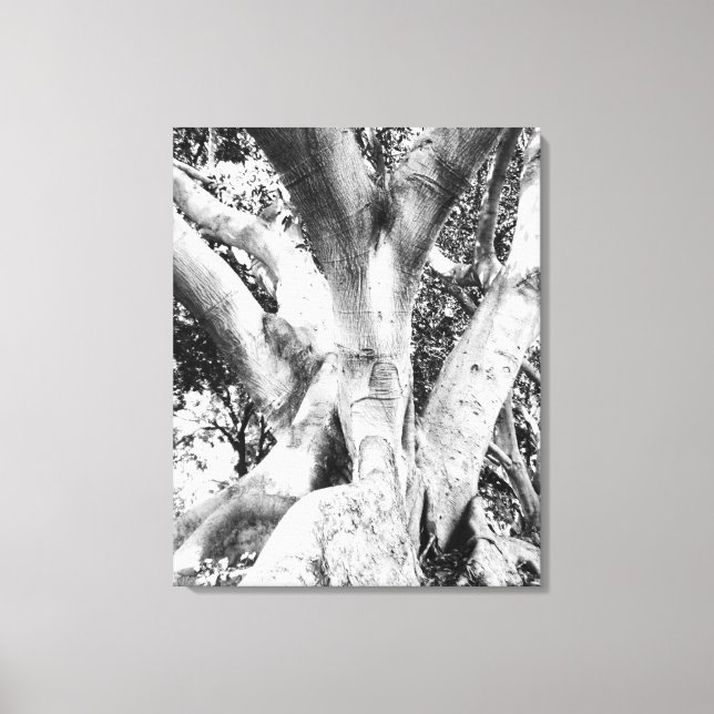 Tree Photo - Black and White Tree Monochrome Thick Canvas Print (Front)