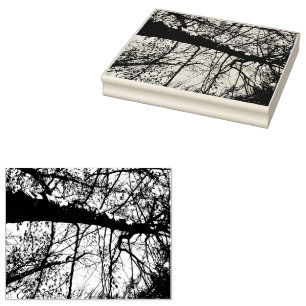 Tree Photo Rubber Stamp