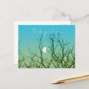 Tree Photography Postcard
