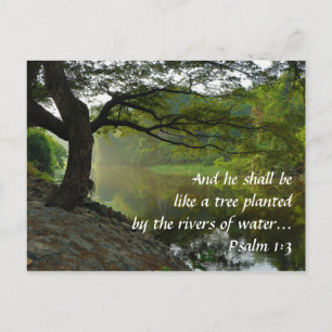 Tree Planted by River, Psalm 1:3, Scripture Postcard