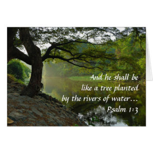 Tree Planted by Water, Psalm 1:3, Scripture