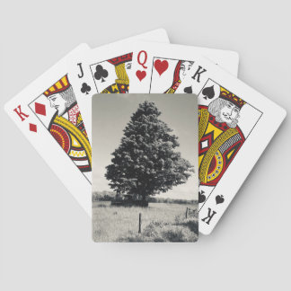 tree playing cards
