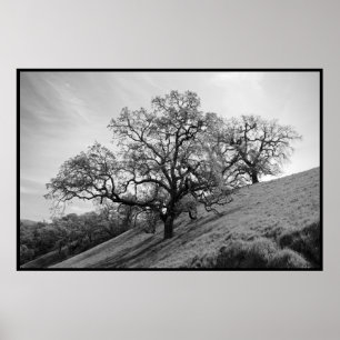 Tree Poetry Print