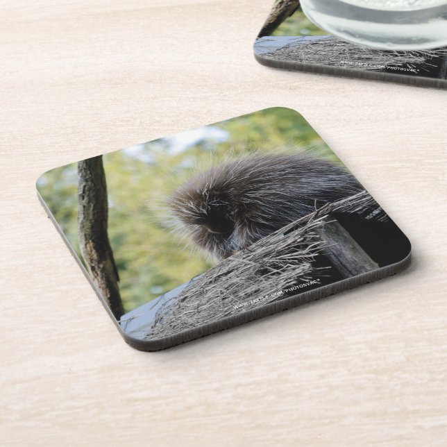 Tree Porcupine Coaster (Left Side)