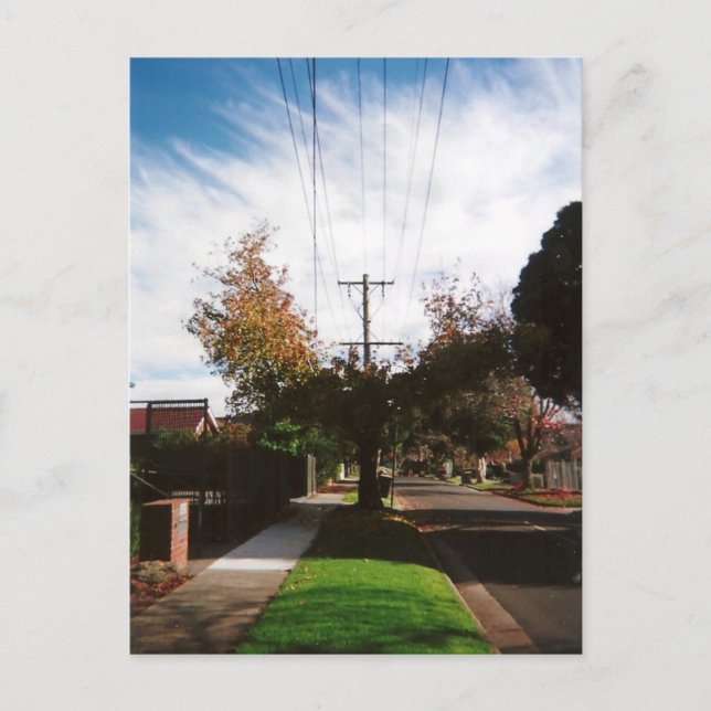 tree postcard (Front)