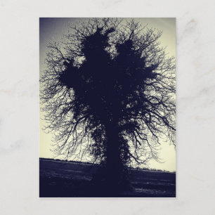 Tree Postcard