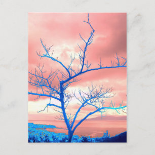 tree postcard