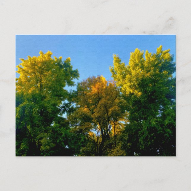Tree Postcard (Front)