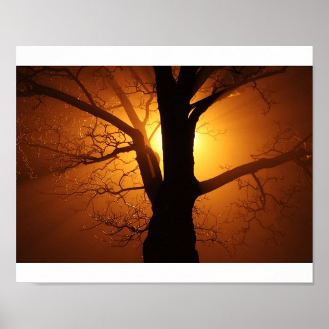 Tree Poster (Front)