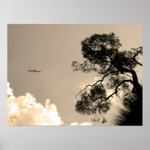 tree poster
