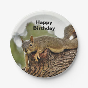 Tree Reclining Squirrel  Birthday Paper Plate