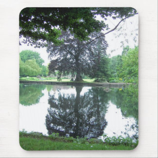 Tree reflected in the water mouse pad