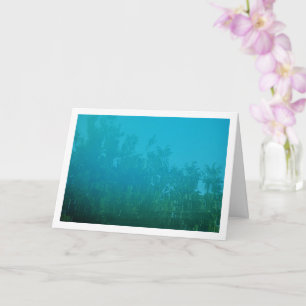Tree Reflection in Pool Background Card