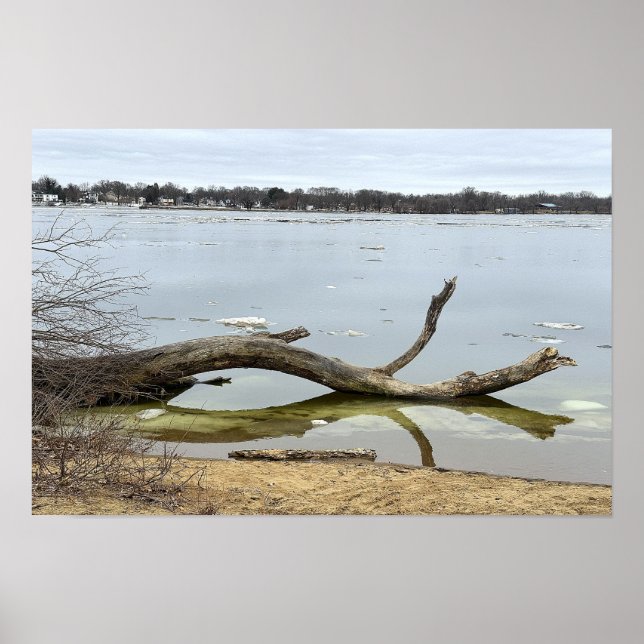 Tree Reflection in River Poster (Front)