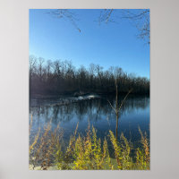 Tree Reflections Photo Poster