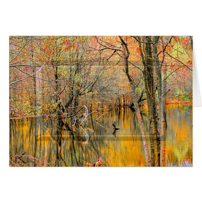 Tree Reflections/water WETLANDS COLLECTION - Blank (Front Horizontal)