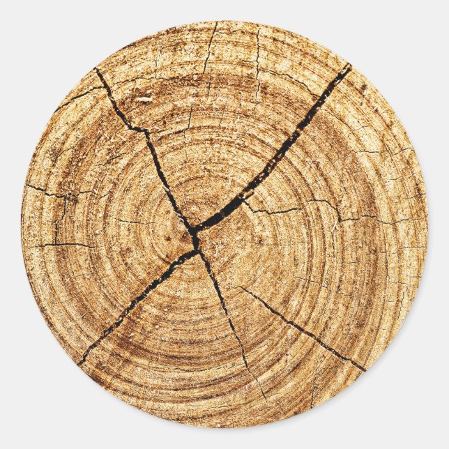 Tree Rings Closeup Classic Round Sticker (Front)