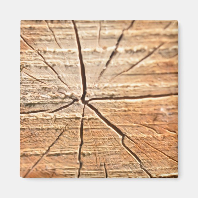 Tree Rings Magnet (Front)