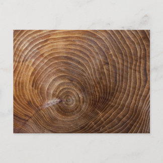 Tree rings postcard