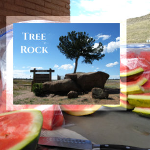 Tree Rock,Median of Interstate 80, Buford Wyoming Postcard