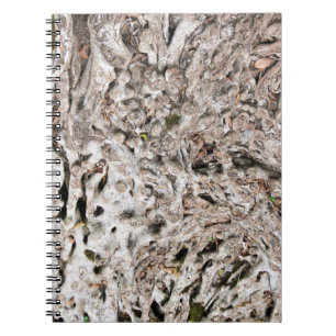 Tree root composition spiral notebook