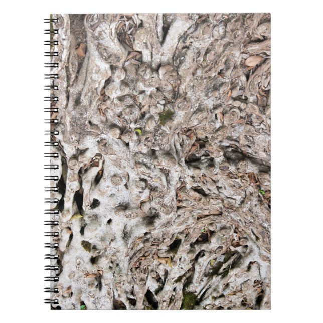 Tree root composition spiral notebook (Front)