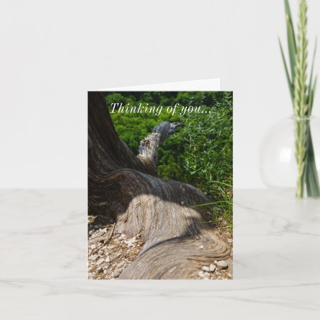 Tree Root Extension Thinking Of You Card (Front)